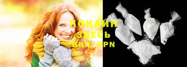 молекула духа Алексин