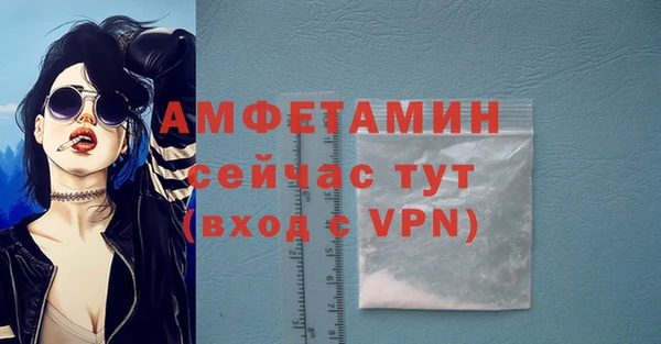 молекула духа Алексин