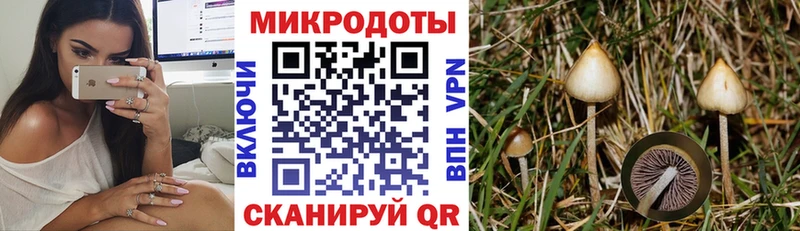 продажа наркотиков  Заволжск  Галлюциногенные грибы MAGIC MUSHROOMS 