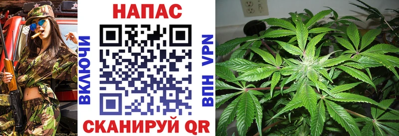 Марихуана SATIVA & INDICA Заволжск